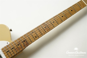 XTC-1 - Desert sand / Medium Aged / Alder / M / Roasted Flame Maple Neck #2606